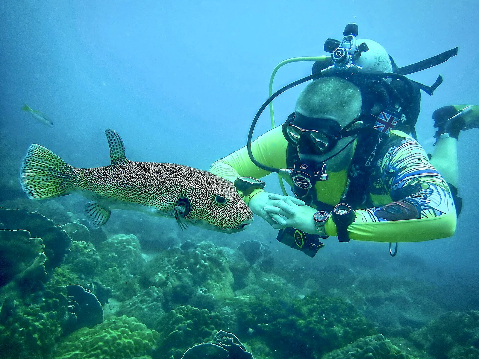 Zec Diving